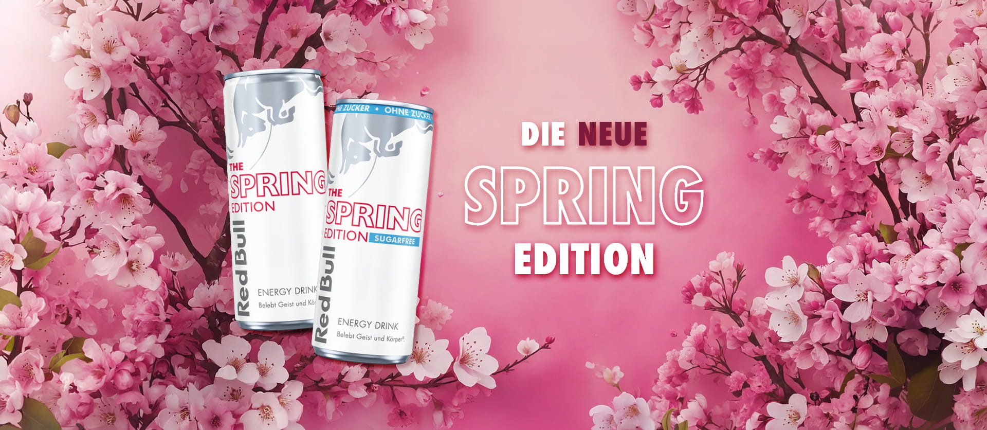 Redbull-spring-edition-2026-sakura-kirsche
