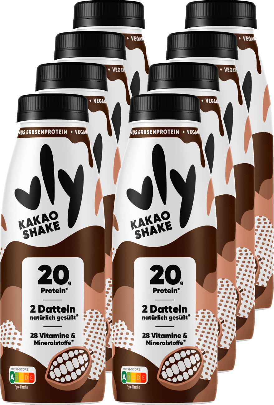 Vly Kakao Shake (8 x 0.4 l)